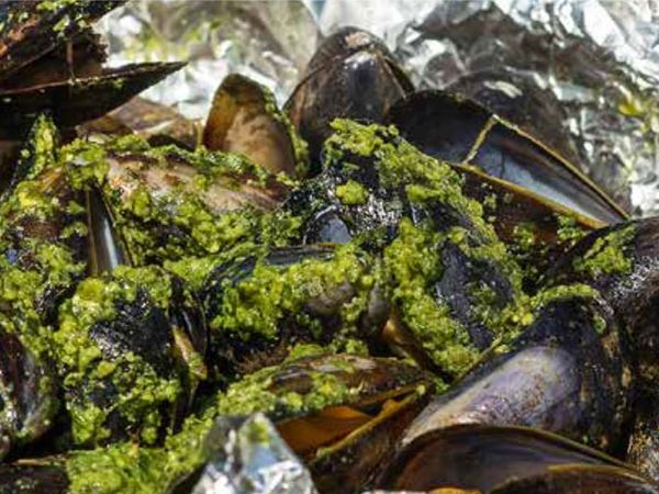 Cremige Pesto Miesmuscheln mit gegrillten Salatherzen